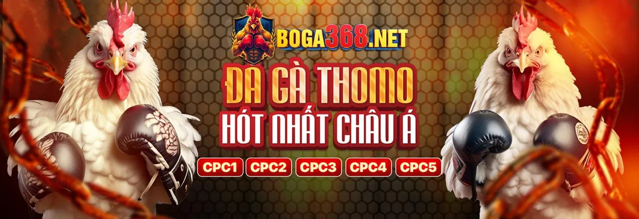 Đá Gà Trực Tuyến abc8 nổ hũ